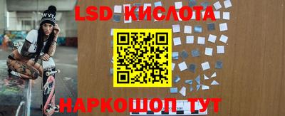 ешки Ставрополь