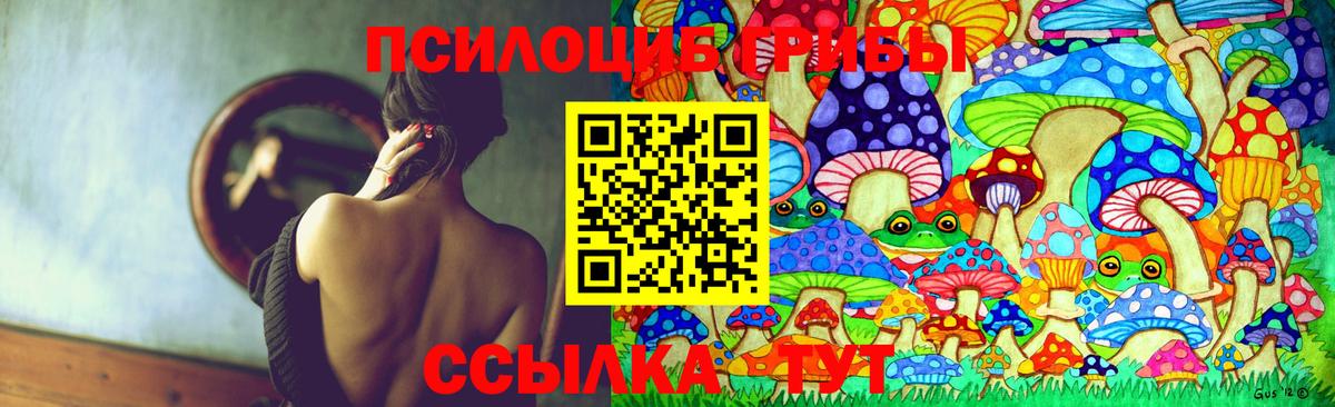 Меф кристаллы  A-PVP СОЛЬ   Новозыбков  ГАШ  Codein  ГАШИШ  Вход с VPN  МАРИХУАНА 