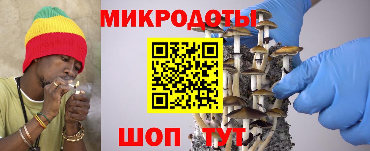 Галлюциногенные грибы Cubensis  Вход с VPN  Новозыбков 
